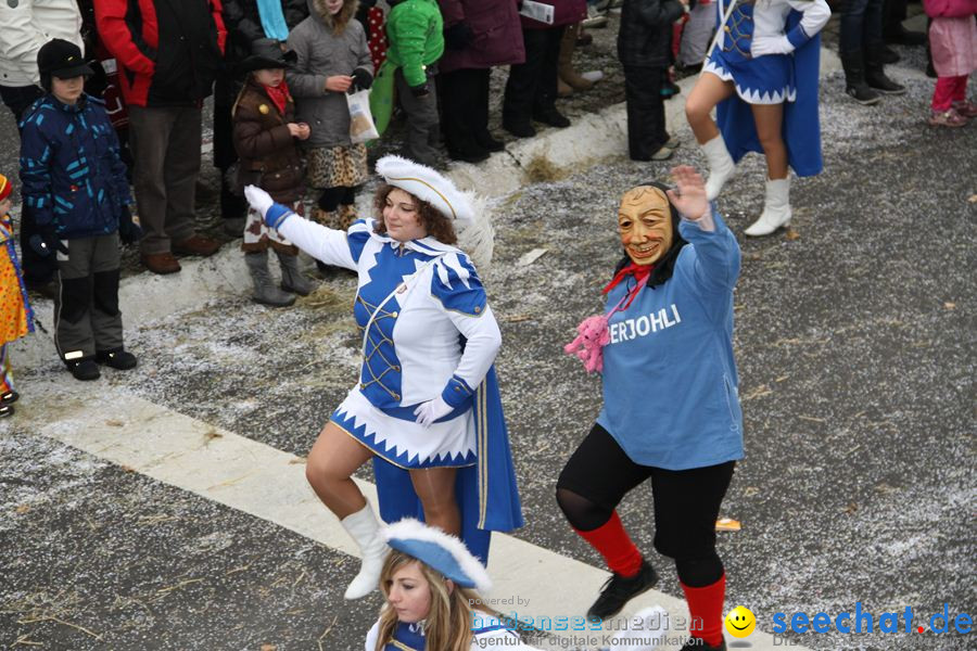 Narrentreffen: Rielasingen am Bodensee, 29.01.2012