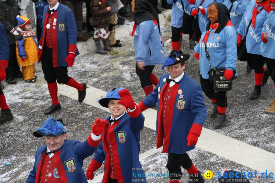 Narrentreffen: Rielasingen am Bodensee, 29.01.2012