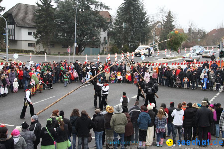 Narrentreffen: Rielasingen am Bodensee, 29.01.2012