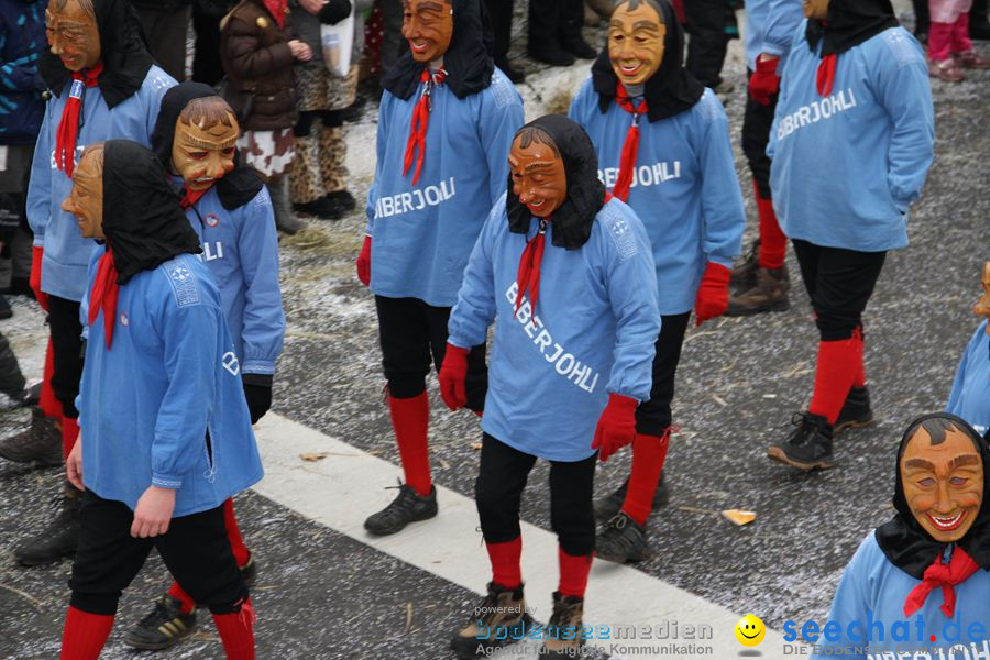 Narrentreffen: Rielasingen am Bodensee, 29.01.2012