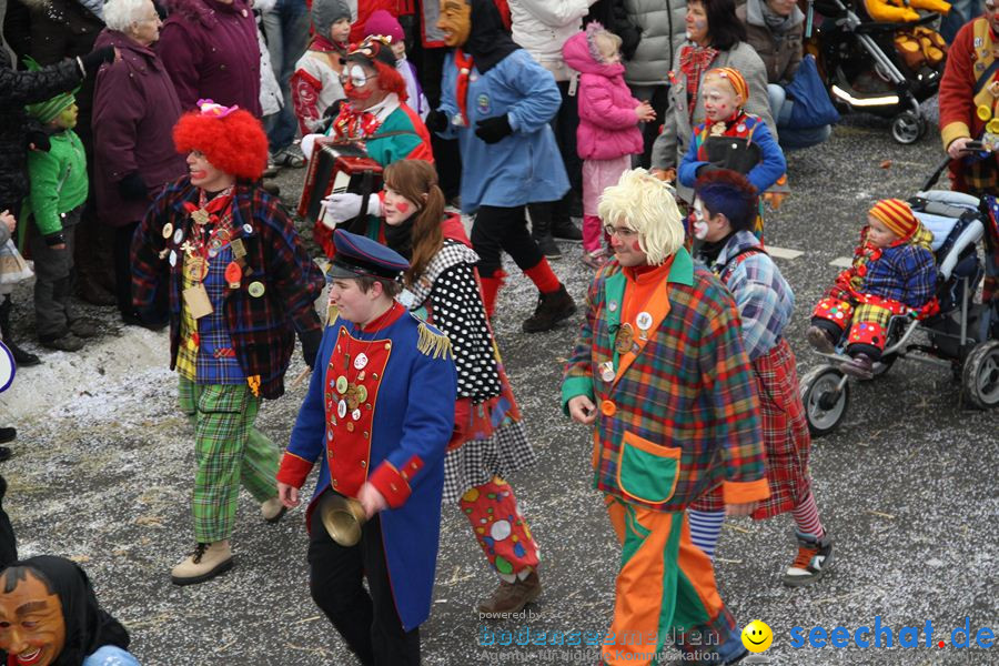 Narrentreffen: Rielasingen am Bodensee, 29.01.2012