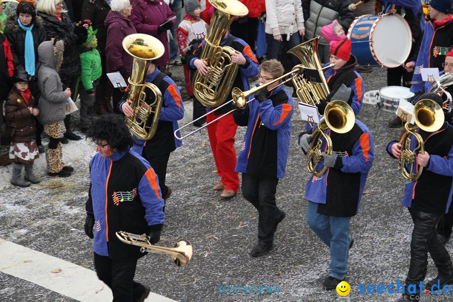 Narrentreffen: Rielasingen am Bodensee, 29.01.2012