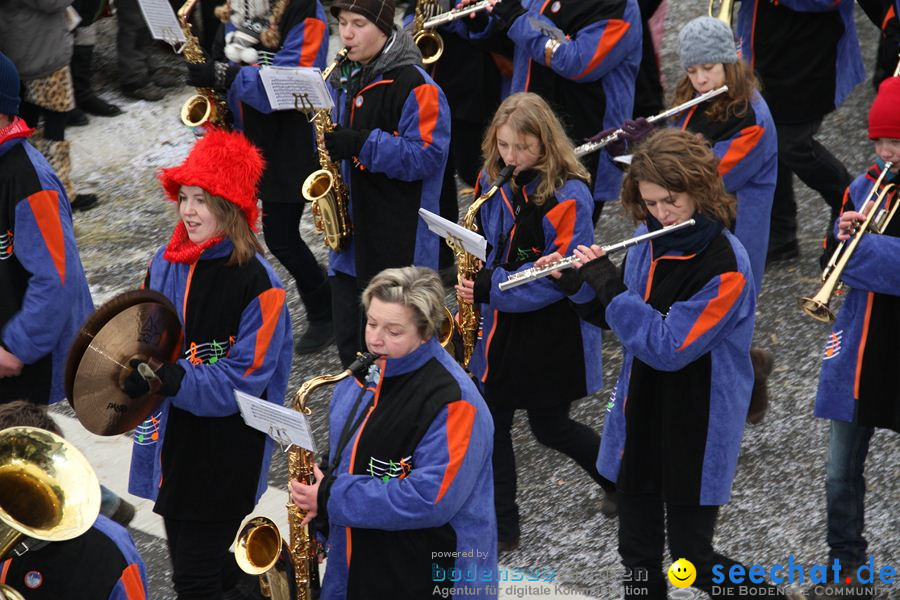 Narrentreffen: Rielasingen am Bodensee, 29.01.2012