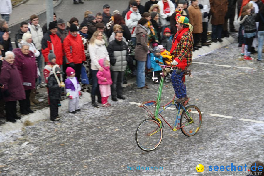 Narrentreffen: Rielasingen am Bodensee, 29.01.2012