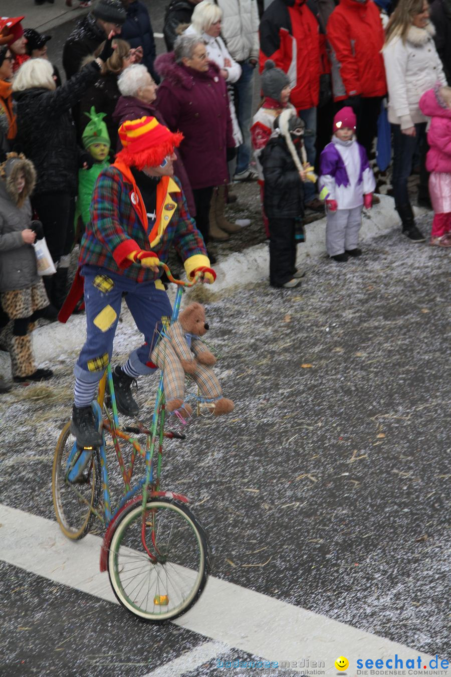 Narrentreffen: Rielasingen am Bodensee, 29.01.2012