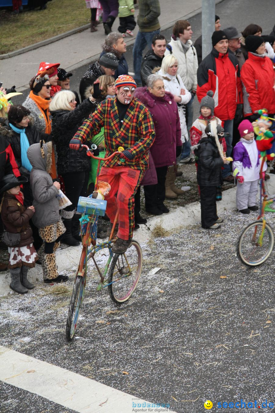 Narrentreffen: Rielasingen am Bodensee, 29.01.2012