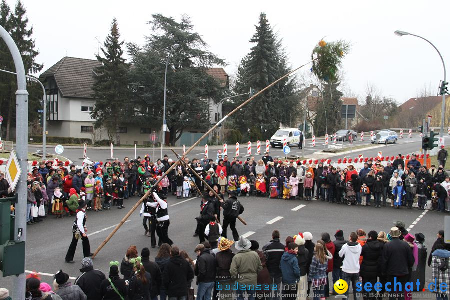 Narrentreffen: Rielasingen am Bodensee, 29.01.2012