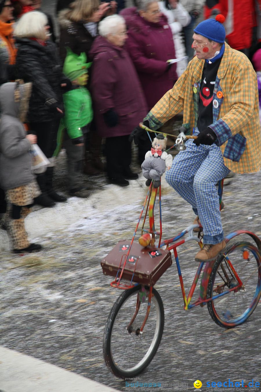 Narrentreffen: Rielasingen am Bodensee, 29.01.2012