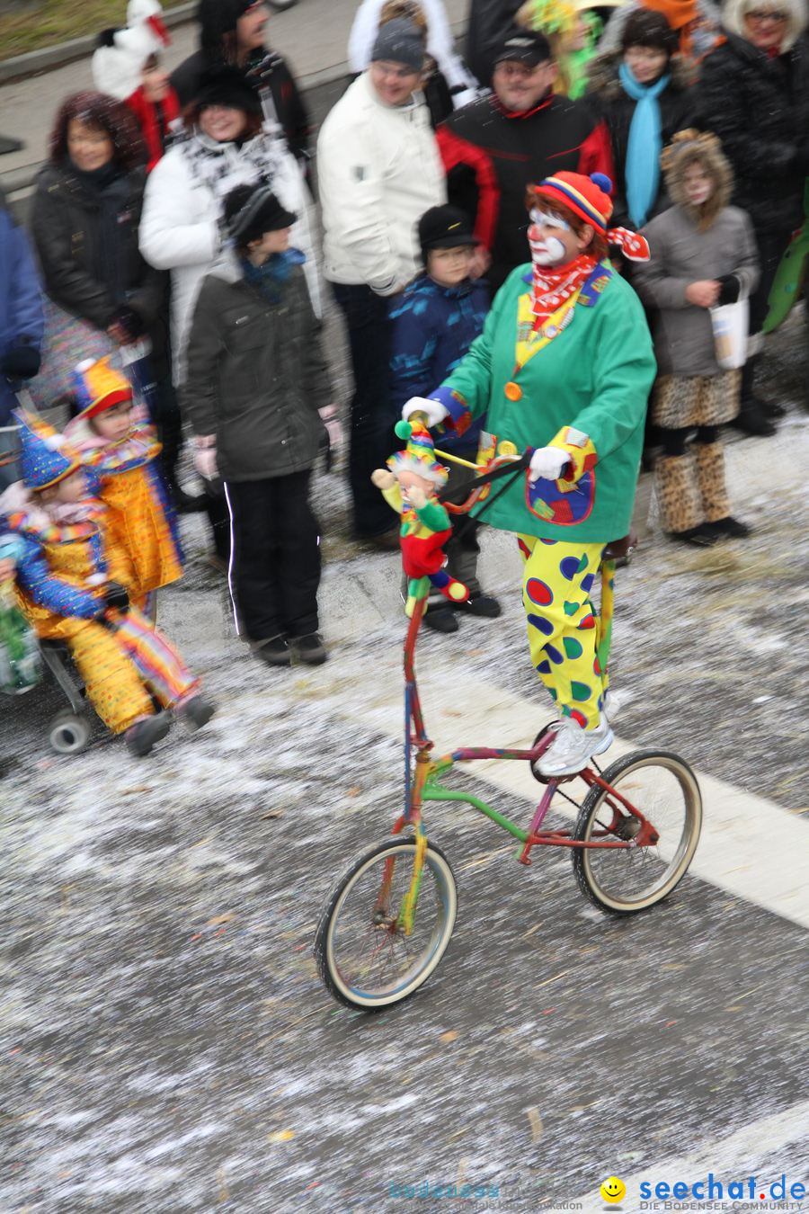 Narrentreffen: Rielasingen am Bodensee, 29.01.2012