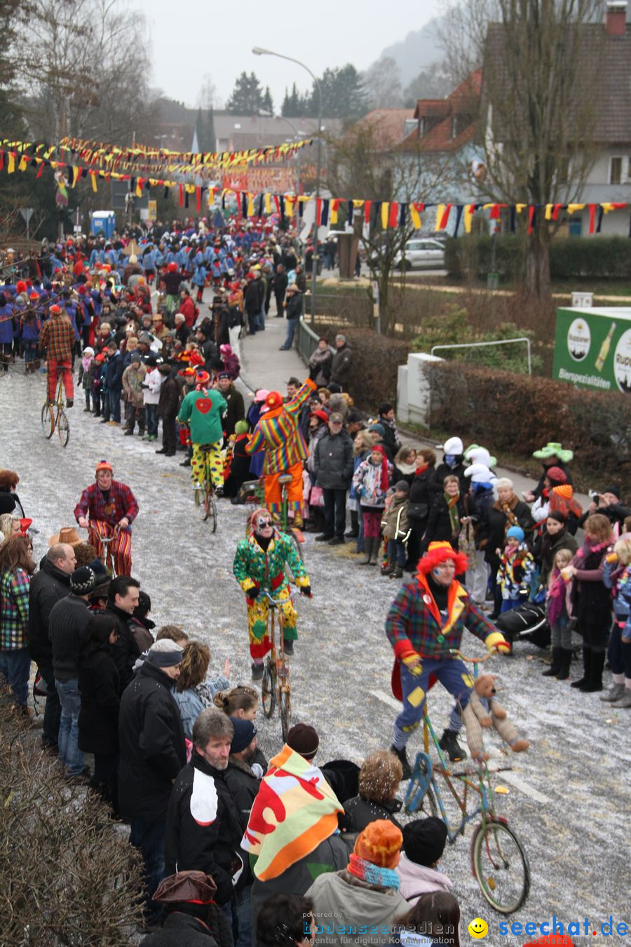 Narrentreffen: Rielasingen am Bodensee, 29.01.2012