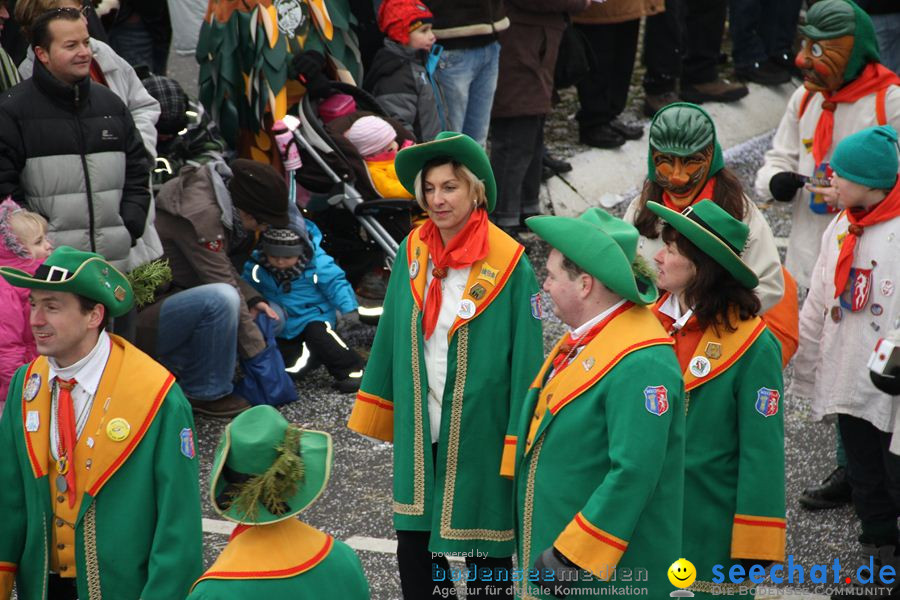 Narrentreffen: Rielasingen am Bodensee, 29.01.2012