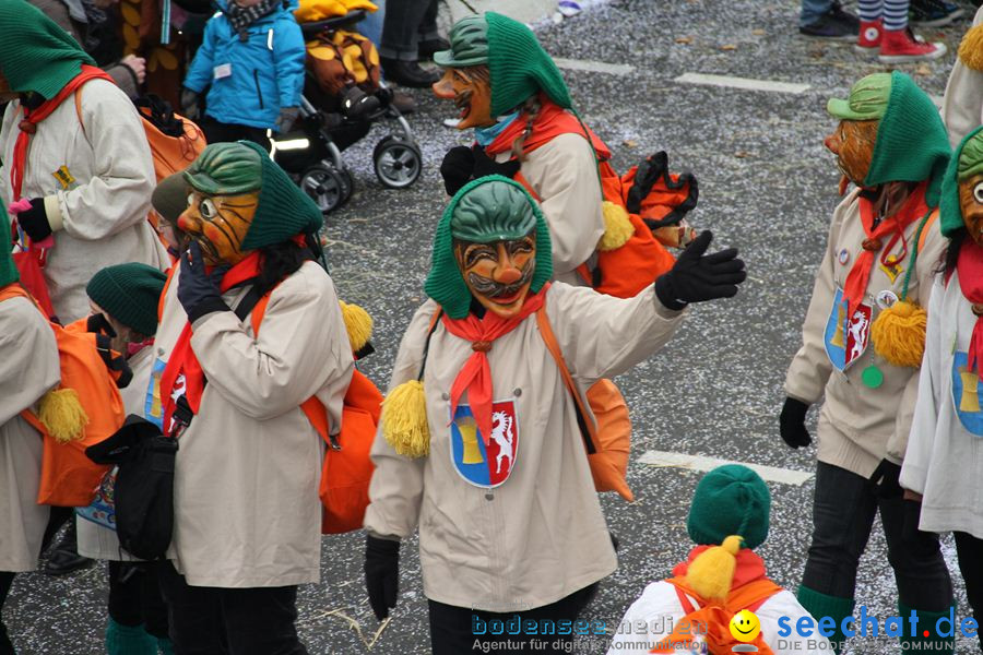 Narrentreffen: Rielasingen am Bodensee, 29.01.2012