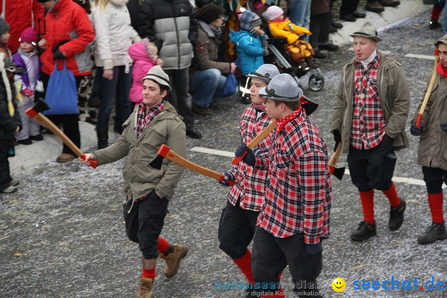 Narrentreffen: Rielasingen am Bodensee, 29.01.2012