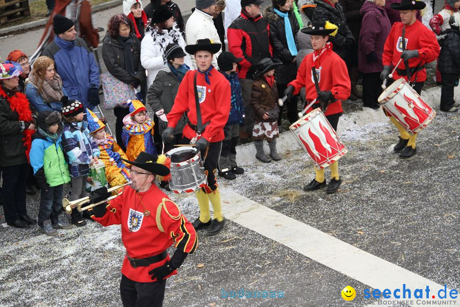 Narrentreffen: Rielasingen am Bodensee, 29.01.2012