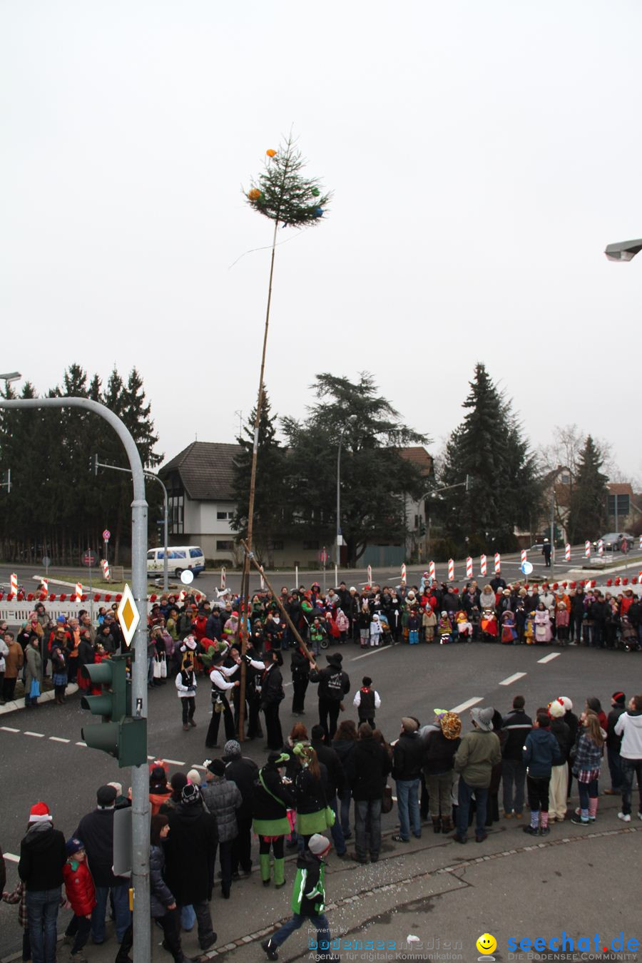 Narrentreffen: Rielasingen am Bodensee, 29.01.2012