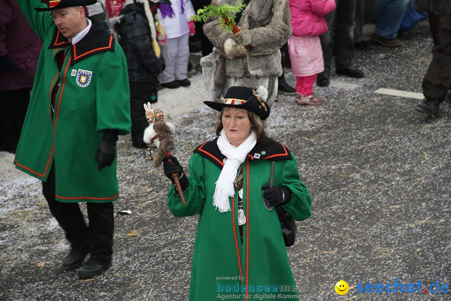 Narrentreffen: Rielasingen am Bodensee, 29.01.2012