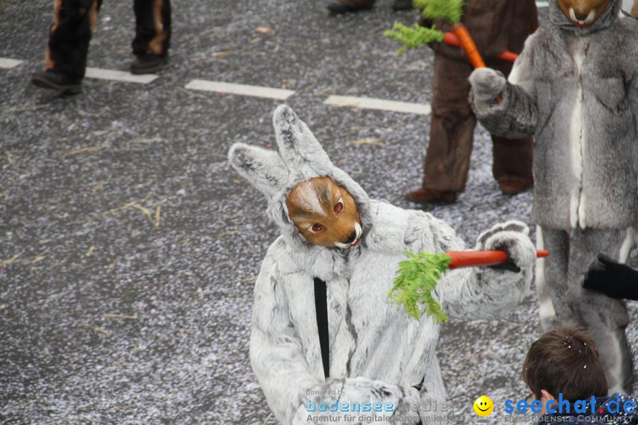 Narrentreffen: Rielasingen am Bodensee, 29.01.2012