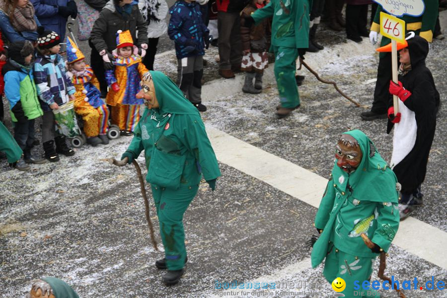 Narrentreffen: Rielasingen am Bodensee, 29.01.2012