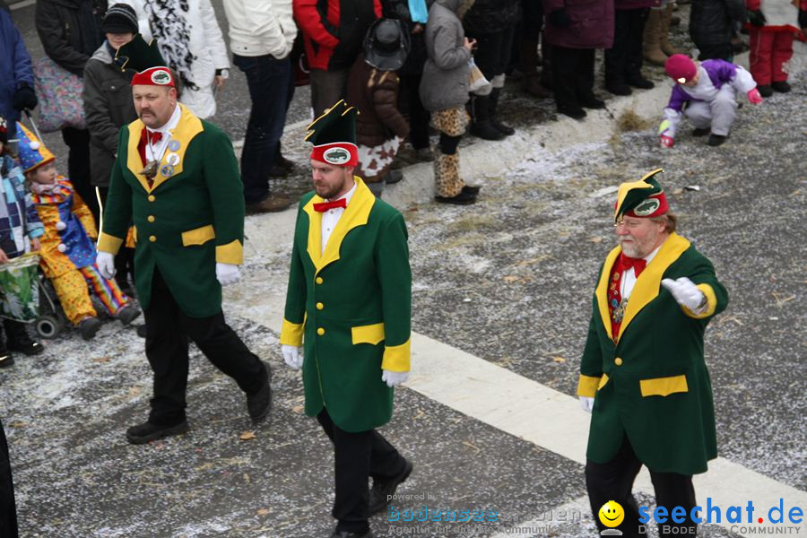 Narrentreffen: Rielasingen am Bodensee, 29.01.2012