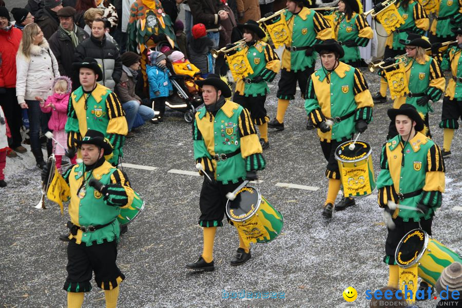 Narrentreffen: Rielasingen am Bodensee, 29.01.2012