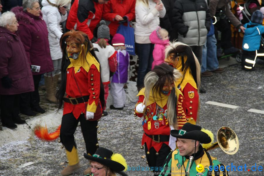 Narrentreffen: Rielasingen am Bodensee, 29.01.2012