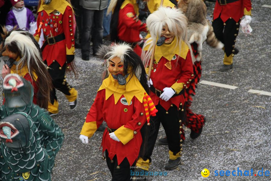 Narrentreffen: Rielasingen am Bodensee, 29.01.2012