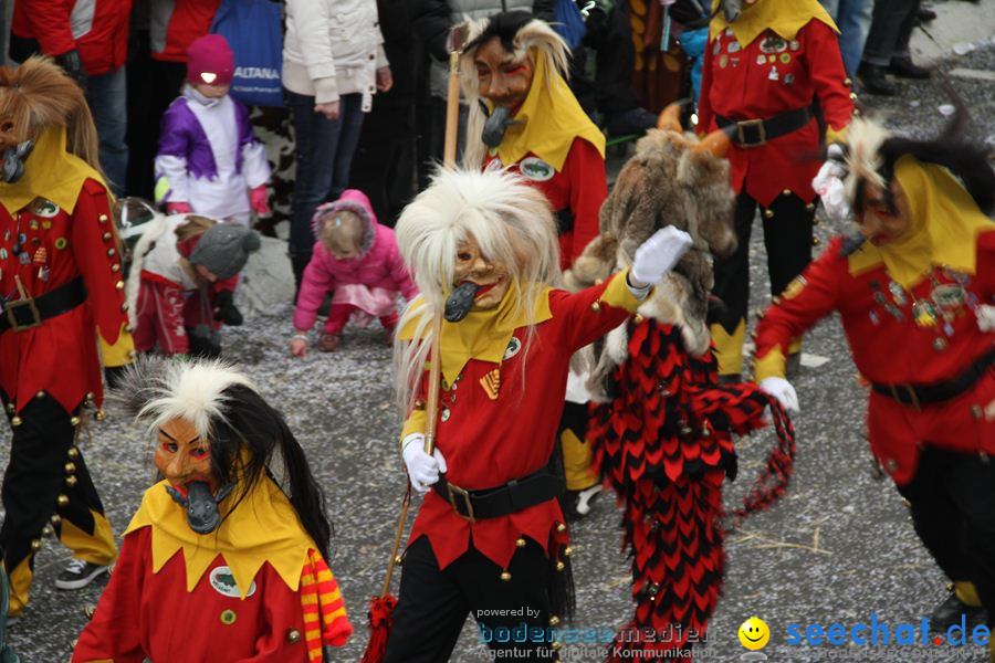 Narrentreffen: Rielasingen am Bodensee, 29.01.2012