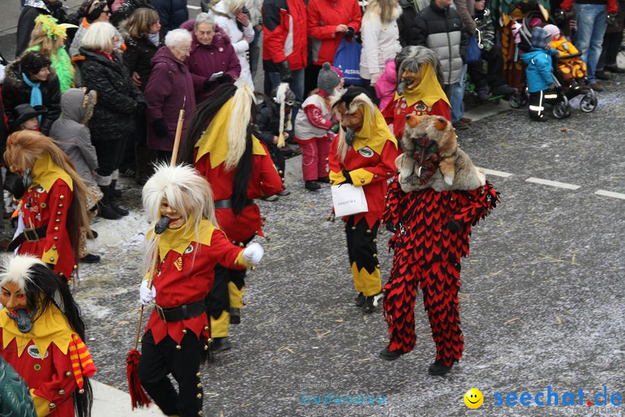 Narrentreffen: Rielasingen am Bodensee, 29.01.2012