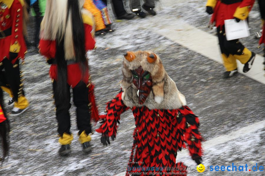 Narrentreffen: Rielasingen am Bodensee, 29.01.2012