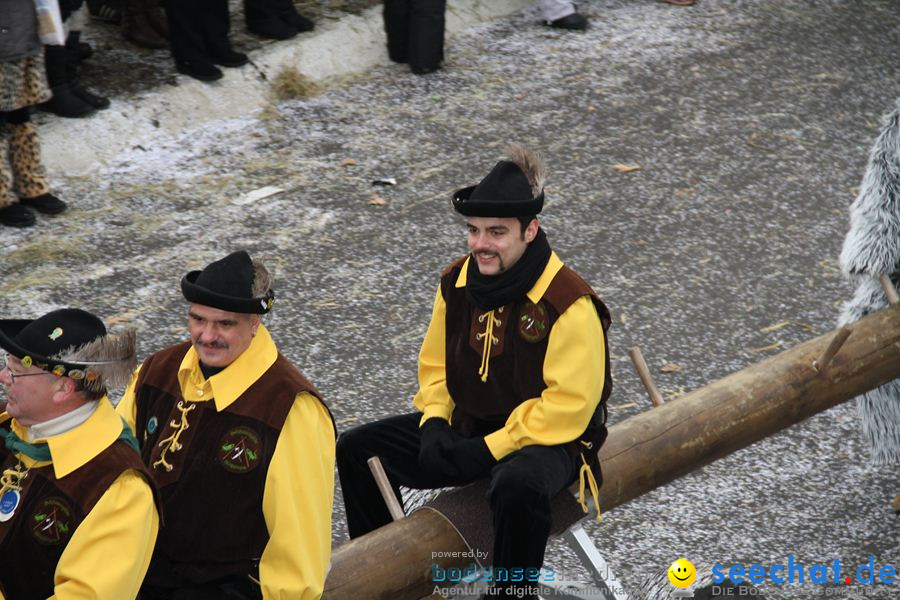 Narrentreffen: Rielasingen am Bodensee, 29.01.2012