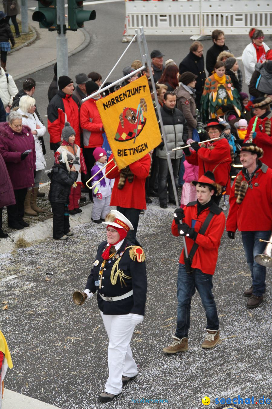 Narrentreffen: Rielasingen am Bodensee, 29.01.2012