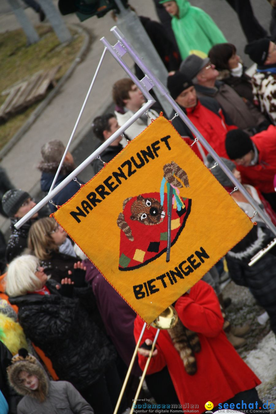 Narrentreffen: Rielasingen am Bodensee, 29.01.2012