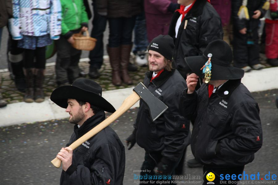 Narrentreffen: Rielasingen am Bodensee, 29.01.2012