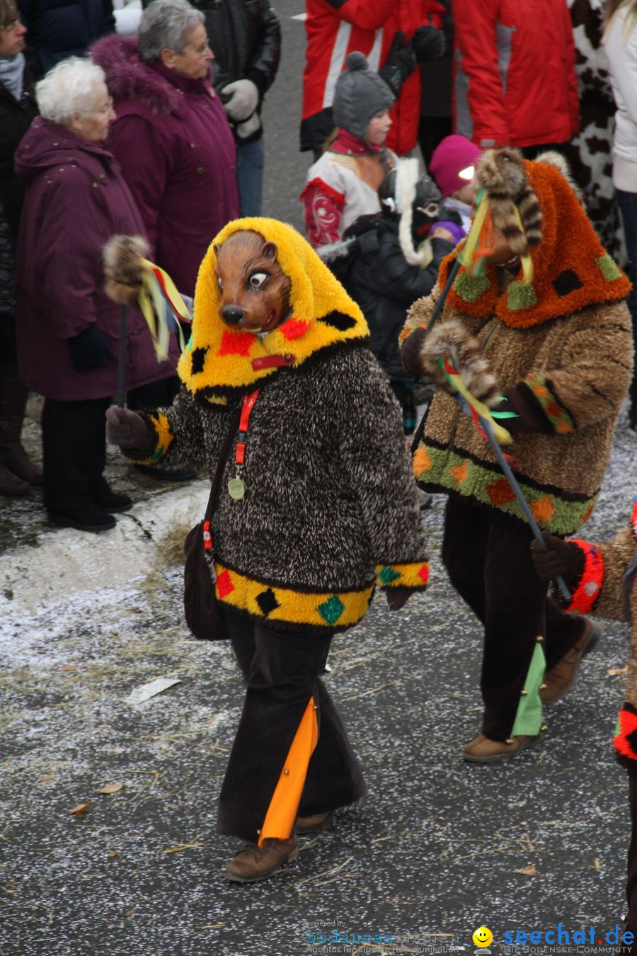 Narrentreffen: Rielasingen am Bodensee, 29.01.2012