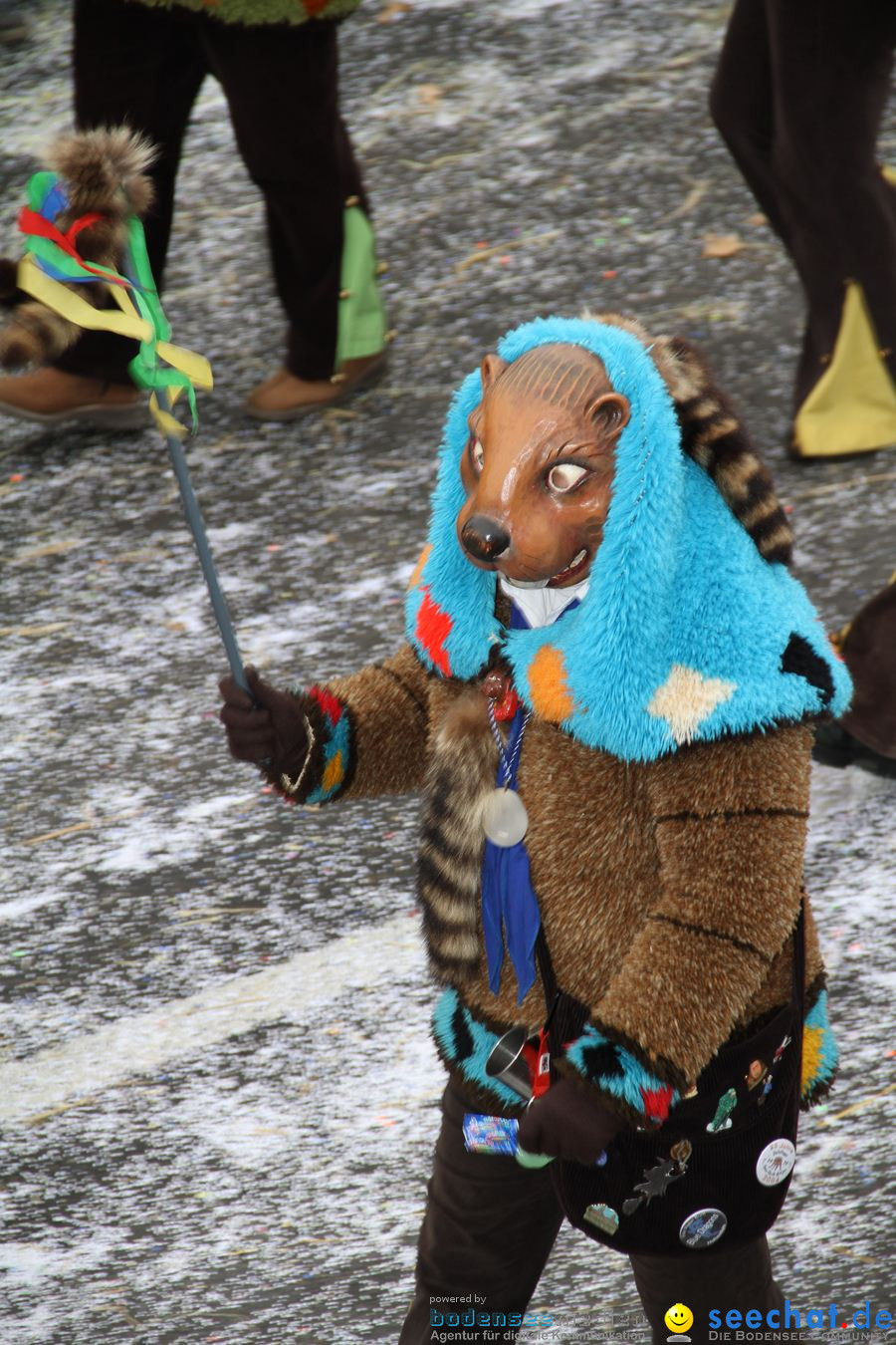 Narrentreffen: Rielasingen am Bodensee, 29.01.2012