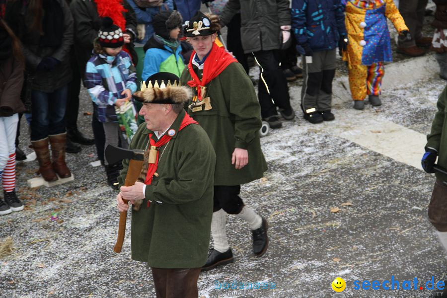 Narrentreffen: Rielasingen am Bodensee, 29.01.2012