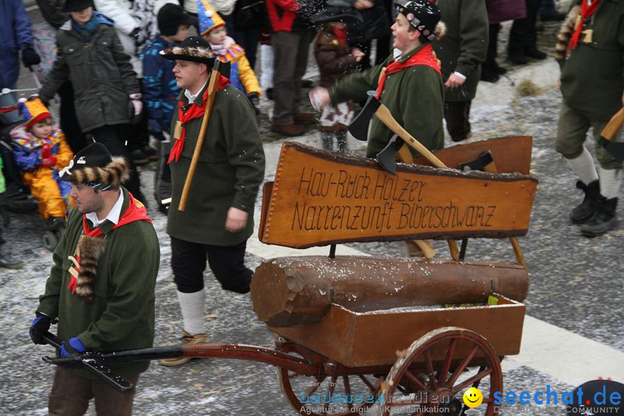 Narrentreffen: Rielasingen am Bodensee, 29.01.2012