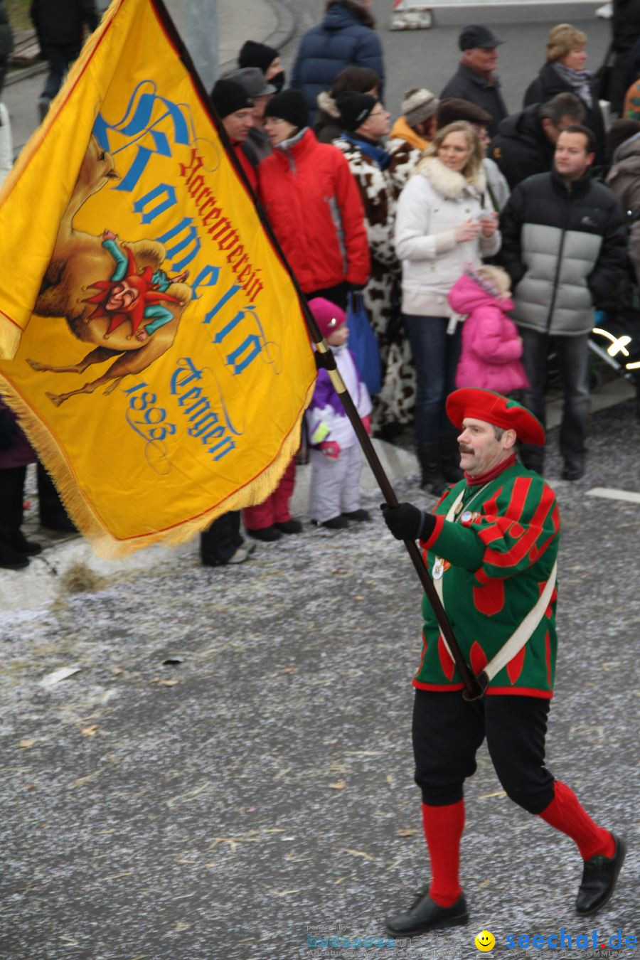 Narrentreffen: Rielasingen am Bodensee, 29.01.2012