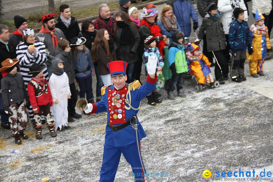 Narrentreffen: Rielasingen am Bodensee, 29.01.2012