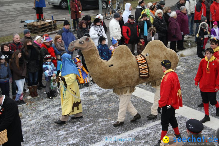 Narrentreffen: Rielasingen am Bodensee, 29.01.2012