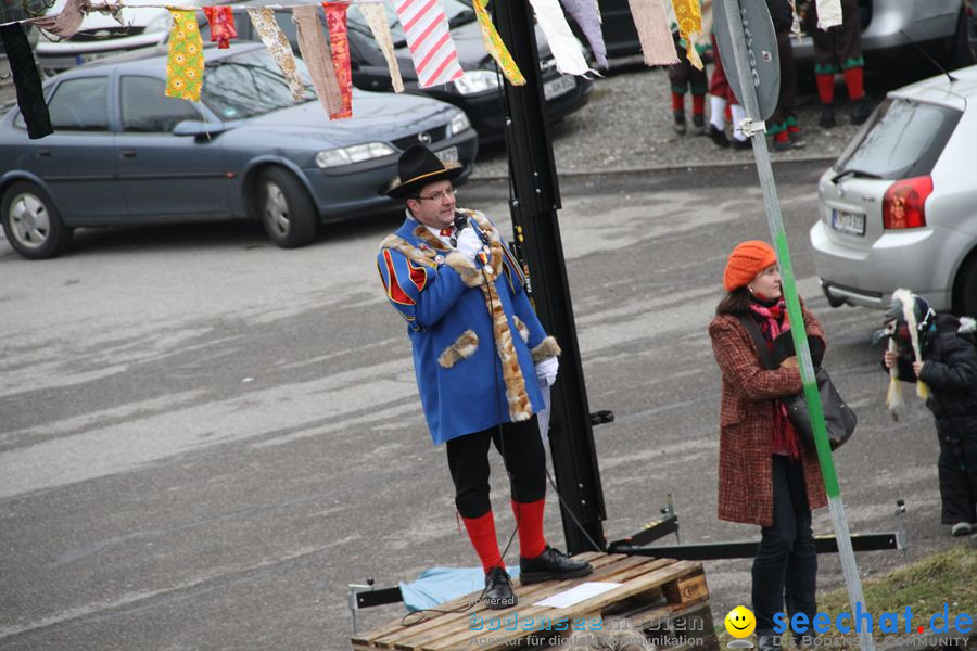 Narrentreffen: Rielasingen am Bodensee, 29.01.2012