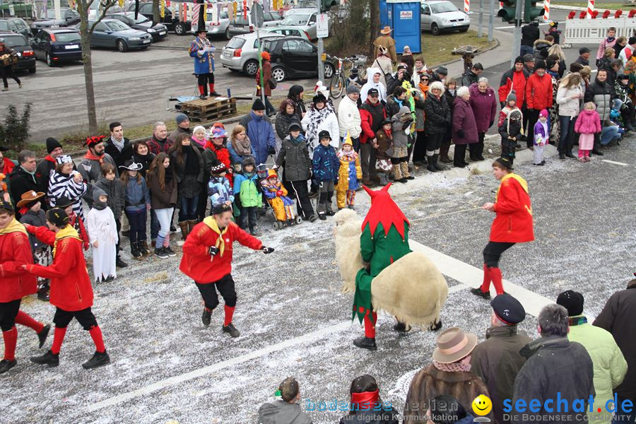 Narrentreffen: Rielasingen am Bodensee, 29.01.2012