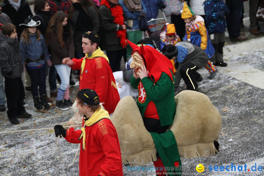 Narrentreffen: Rielasingen am Bodensee, 29.01.2012