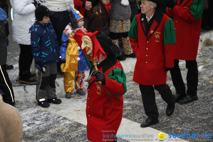 Narrentreffen: Rielasingen am Bodensee, 29.01.2012