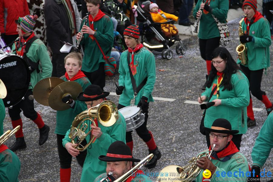 Narrentreffen: Rielasingen am Bodensee, 29.01.2012