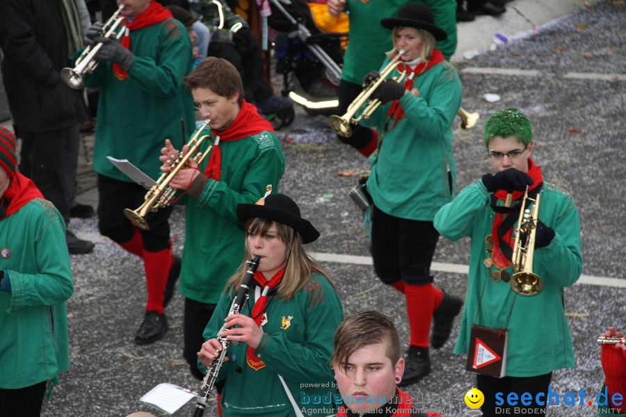 Narrentreffen: Rielasingen am Bodensee, 29.01.2012