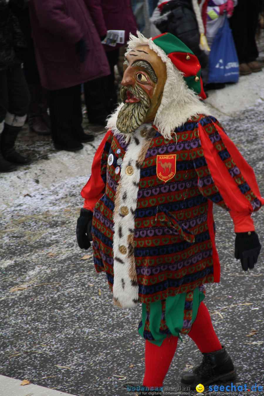 Narrentreffen: Rielasingen am Bodensee, 29.01.2012