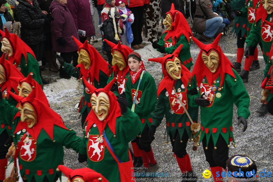 Narrentreffen: Rielasingen am Bodensee, 29.01.2012