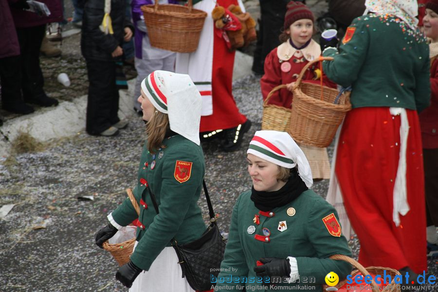 Narrentreffen: Rielasingen am Bodensee, 29.01.2012