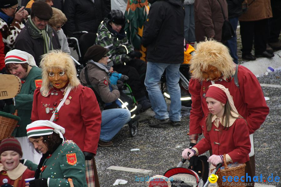 Narrentreffen: Rielasingen am Bodensee, 29.01.2012